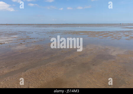 Ebbe im Nationalpark, Stockfoto