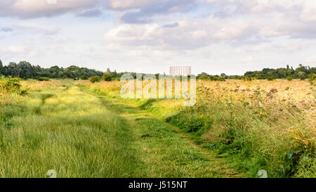 Eine stillgelegte Gasometer erhebt sich über Bäume und Buschwerk in Wermut scheuert Park auf Old Oak Common in Acton, West London. Stockfoto