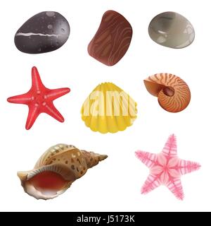 Meer Steinen, Muscheln, Seesterne. Realistische Objekte isoliert. Vektor-Icons Set. Stock Vektor