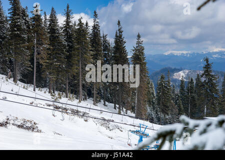 Winterwald bedeckte Schnee in den Bergen an einem schönen sonnigen Tag Stockfoto