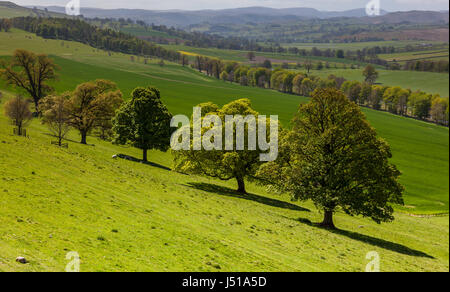 Mit Blick auf den Lake District von der Terrasse bei Lowther Castle, Lowther, in der Nähe von Penrith, Cumbria Stockfoto