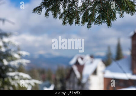 Winterberge in der Nähe von Hütten zwischen schneebedeckten Tannen im Wald, Fokus auf Ast eines Baumes Stockfoto