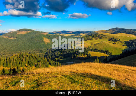 Klassische Karpaten Landschaft. Herbstlandschaft in Bergen von Rumänien. Nadelwald auf den Hängen des Apuseni-Nationalparks. Frisch und grün Bäume in Stockfoto