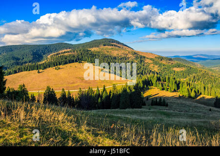 Klassische Karpaten Landschaft. Herbstlandschaft in Bergen von Rumänien. Nadelwald auf den Hängen des Apuseni-Nationalparks. Frisch und grün Bäume in Stockfoto