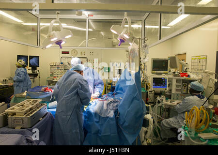 Ärzte und Krankenschwestern, die in einem Krankenhaus in Gemeinde und im OP-Saal im Rahmen des NHS Gesundheitsfürsorge Stockfoto