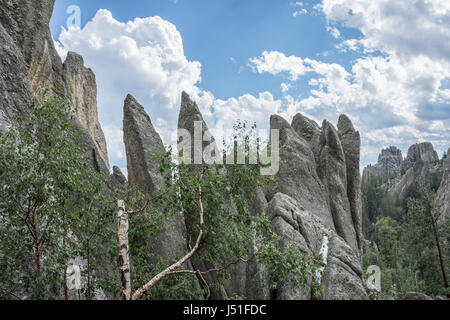 Felsformationen entlang Needles Highway im Custer State Park, South Dakota, USA. Stockfoto