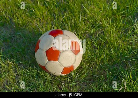 Fußball auf dem Rasen Stockfoto