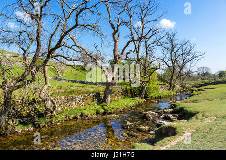 Malham Beck neben dem Fußweg zum Malham Cove, Malham, Malhamdale, Yorkshire Dales National Park, North Yorkshire, England, UK. Stockfoto