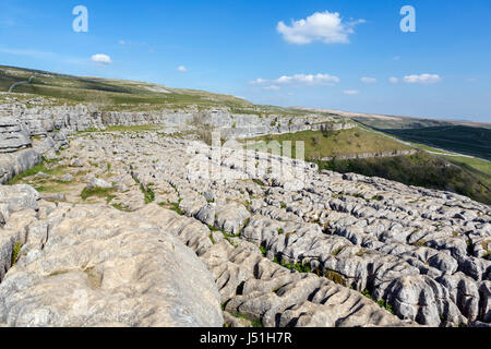 Kalkstein Pflaster an der Spitze der Malham Cove, Malham, Malhamdale, Yorkshire Dales National Park, North Yorkshire, England, UK. Stockfoto