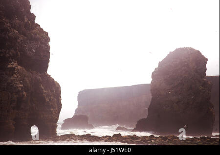 Marsden Bucht / The Leas, South Shields Stockfoto