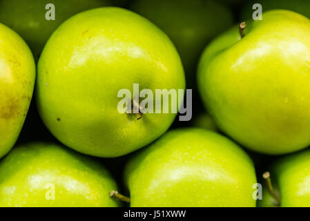Grüne Äpfel Stockfoto