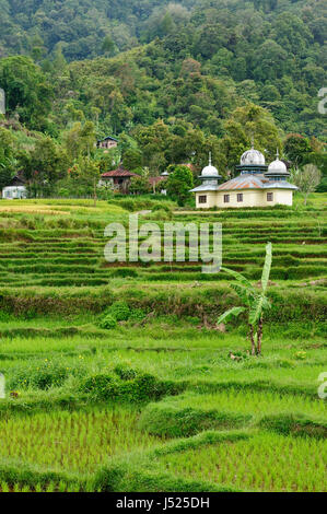 Indonesien-Landschaft auf der West-Sumatra Insel in der Nähe von Bukittinggi City resort Stockfoto