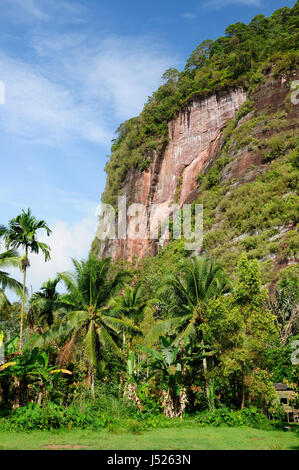 Harau Tal - Indonesien-Landschaft auf der West-Sumatra Insel in der Nähe von Bukittinggi City resort Stockfoto