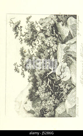 Dartmoor: A deskriptive Poem, ist ein literarisches Werk, das die Schönheit und das Geheimnis der Dartmoor-Region in Devon, England, erforscht. Diese zweite Ausgabe enthält zusätzliche Notizen von W. Burt, die einen tieferen Einblick in die Geschichte und Landschaft der Region bieten. Stockfoto