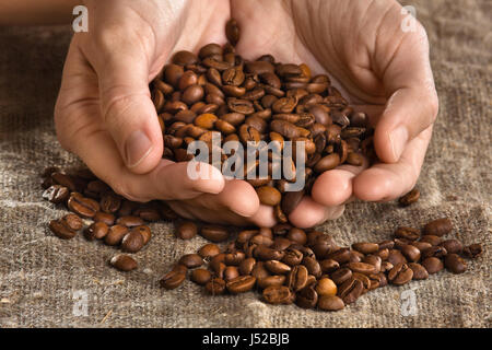 Frau Hände halten Handvoll geröstete Kaffeebohnen Stockfoto