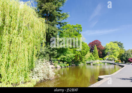 Sunny Frühlingstag im Priorat Park in Great Malvern, Worcestershire Stockfoto