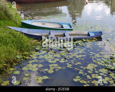 Zwei Ruderboote mit Seerosen auf einem See in Montenegro Stockfoto