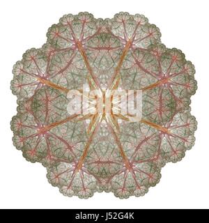 Abstrakte Fraktal-Muster Stockfoto