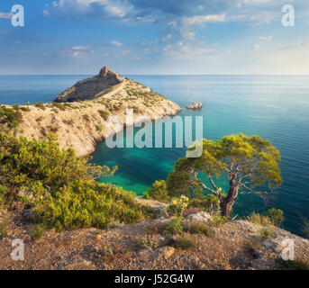 Herrliche Aussicht auf den grünen Baum, Berge, Meer mit türkisfarbenem Wasser und bunten blauen Himmel bei Sonnenaufgang. Sommerlandschaft in Bergen am Meeresstrand Stockfoto