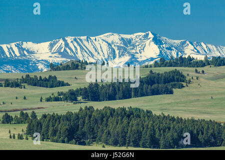 Mount Haggin im Bereich von Anaconda angesehen vom oberen gefleckte Hund Creek Basin in der Nähe von Avon, montana Stockfoto