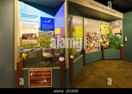 Interpretierende zeigt am Visitor Center, Hawaiʻi-Volcanoes-Nationalpark, Hawaii USA Stockfoto