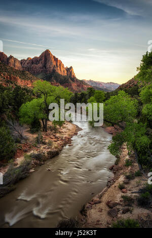 Die Jungfrau Fluss, der durch den Zion National Park, Utah Stockfoto