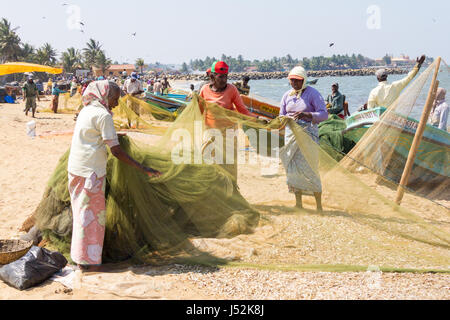 Frauen sortieren die Fischernetze am Strand von Negombo, Sri Lanka Stockfoto