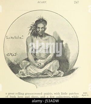 Bild entnommen Seite 295 der "Geschichte der hinteren Säule von Emin Pascha Relief Expedition... Bearbeitet von Mrs J. S. Jameson. [Mit einem Vorwort von Andrew Jameson.] Mit... Karte und Abbildungen, etc. (Naturgeschichte Anhang. Die ornithologische Arbeit von J. Stockfoto