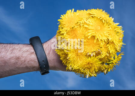 Schöner Blumenstrauß gelbe Löwenzahn in der Form einer Kugel in einer Hand des Mannes mit einem Armband am Himmelshintergrund Stockfoto