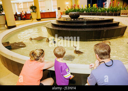 Little Rock Arkansas, The Peabody Little Rock, Hotelhotels, Motel Motels, Peabody Ducks, Fountain in der Lobby, Erwachsene Erwachsene, Frau, Frau Stockfoto