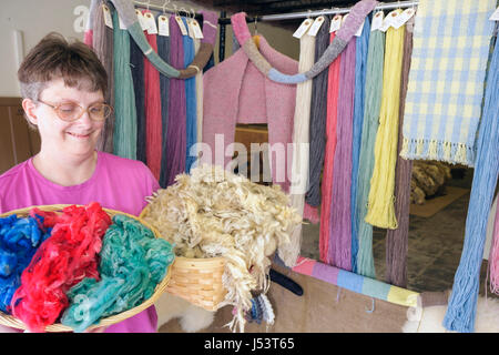 Arkansas Randolph County, Pocahontas, Small Farm Fibers, Wollprodukte, gefärbte Wolle, Garn, Schafe scheren, Frau weibliche Frauen, Körbe, Farbtöne, Farben, natürliche Fäuste Stockfoto