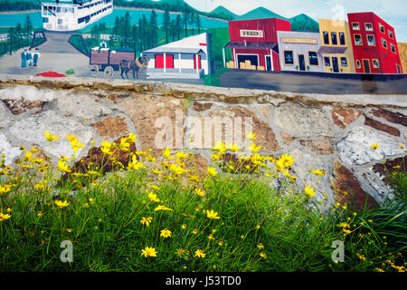 Arkansas Ozark Mountains, Calico Rock, Hauptstraße, Blume, Blume, Wandgemälde, öffentliche Kunst, kleine Stadt, AR080603029 Stockfoto