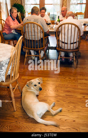 Arkansas Mountain View Country Oaks Bed & Breakfast, Mann Männer männlich, Frau weibliche Frauen, ältere Senioren Paar Paare, Hund Haustier, Land Lifestyle Dining Roo Stockfoto