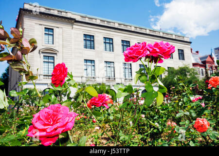 Little Rock Arkansas, Pulaski County Courthouse, Rosengarten, Landschaft, Gebäude, Rosa, Blume, Blume, AR080605064 Stockfoto