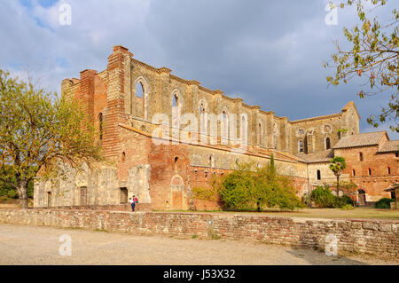 Abtei St. Galgano, ein ehemaliges Zisterzienserkloster im Tal des Flusses Merse Stockfoto