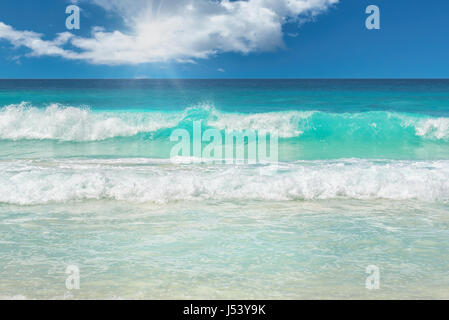 Wellen an einem tropischen Strand. Stockfoto