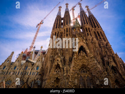 Sagrada Familia Stockfoto