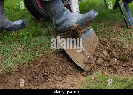 Gummistiefel mit Schaufel ausgraben Stockfoto