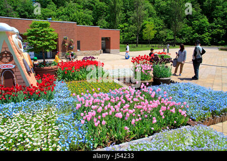 Echigo Hillside Park Flower Bed Nagaoka Stadt Niigata, Japan Stockfoto