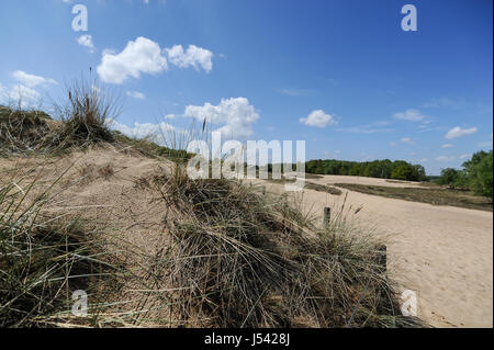 Landschaft der Boberger Dünen oder Boberger Duenen im Süden westlich von Hamburg, Deutschland. Stockfoto