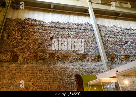 Norman Innenwand, Colchester Castle, Colchester, Essex, England, Vereinigtes Königreich Stockfoto
