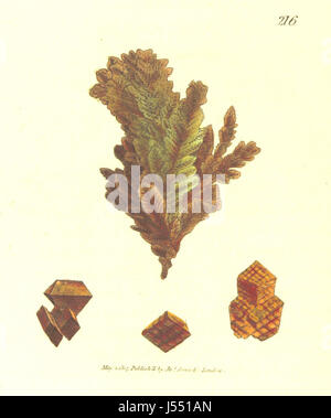 „British Mineralogy“ von J. Sowerby ist eine bahnbrechende Arbeit in der Erforschung britischer Mineralien. Das Buch enthält detaillierte farbige Figuren, die verschiedene in Großbritannien gefundene Mineralien illustrieren und Einblicke in die mineralogische Vielfalt des Landes geben. Stockfoto