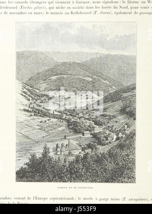 Ein detailliertes Werk mit dem Titel „L'Alsace; le Pays et ses habitants“ mit 386 Gravuren und 17 Karten, die einen umfassenden Überblick über die Region Elsass und ihre Bewohner bieten. Stockfoto