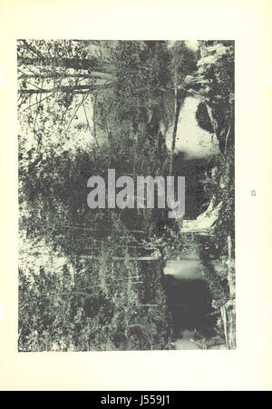 ИСТОКИ ВОЛГИ. НАБРОСКИ ПЕРОМЪ И ФОТОГРАФІЕЮ Stockfoto