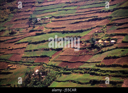 Terrassierten Felder, wie gesehen von der Straße Kisoro-Kabale, Uganda Stockfoto