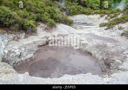 Des Teufels Tinte Töpfe in Wai-O-Tapu Thermal Wonderland liegt in Rotorua, Neuseeland. Stockfoto