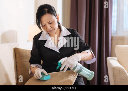 Schön hart arbeitende Frau das Polster Reinigungsmittel Aufsprühen Stockfoto