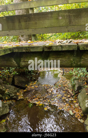 Holzbrücke in die Herbstsaison Stockfoto