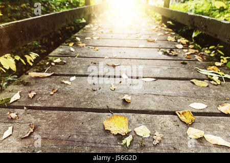 Fussweg von der Holzbrücke in der Herbstsaison Stockfoto