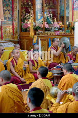 Mönche im Gebet im Namgyal Gompa, McLeod Ganj, Himachal Pradesh Stockfoto